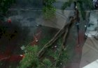 UMS Berikan Bantuan Perbaikan Kendaraan Rusak Akibat Hujan Badai