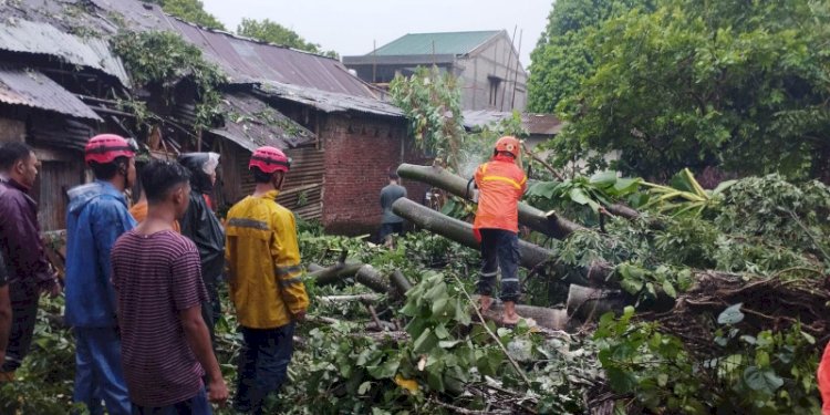 Tim BPBD Purbalingga melakukan evakuasi pohon tumbang dan menutup jalan raya. Dok