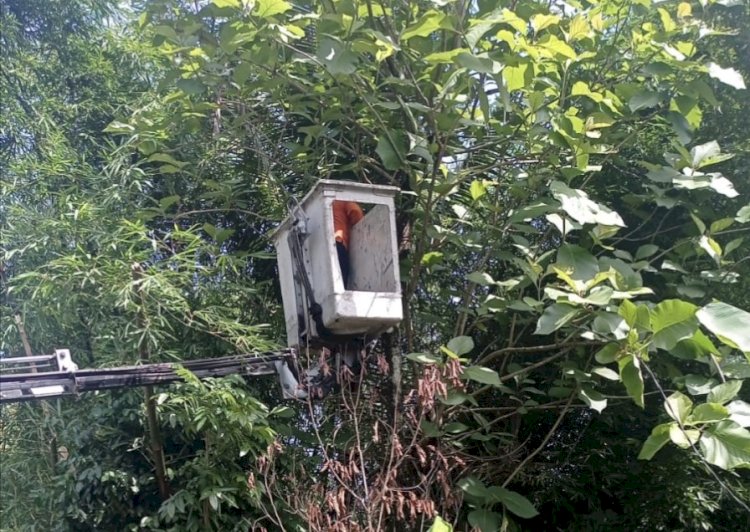 Petugas perbaiki PJU rusak menggunakan crane. RMOL Jateng
