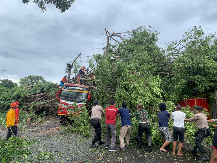 Pohon Beringin Dengan Diameter Tiga Meter Roboh Menimpa Sebuah Minibus Carissa AD-7545-OG Dan Warung Makan Milik Ny. Mudlikah Serta Jatuh Melintangi Jalan Hingga Membuat Macet Arus Lalu Lintas.