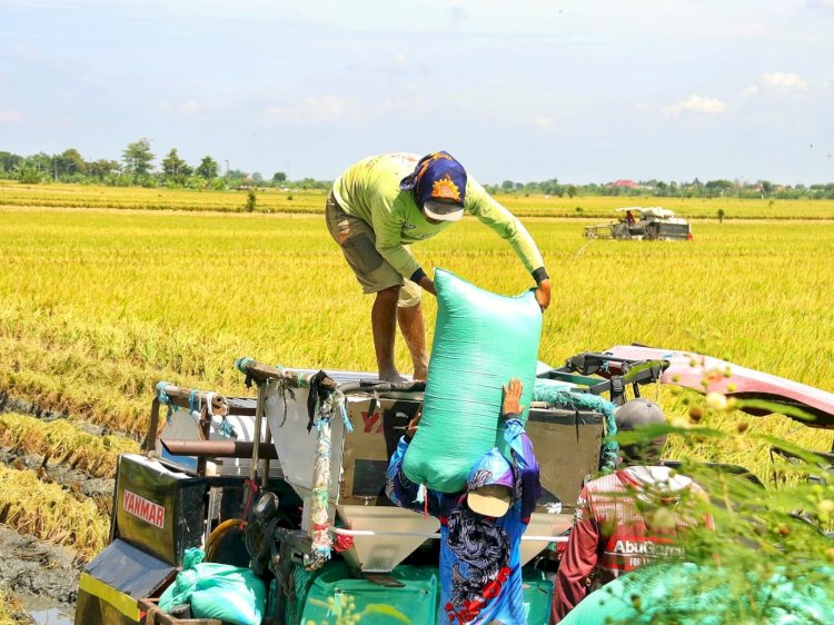 Pemkab Kudus memberikan bantuan berupa fasilitas penggunaan pompa air dan mesin combi untuk kebutuhan pertanian. Arif Edy Purnomo/RMOLjateng