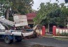 Hujan Guyur Semarang, Rumah Dinas Camat Tertimpa Pohon Tumbang