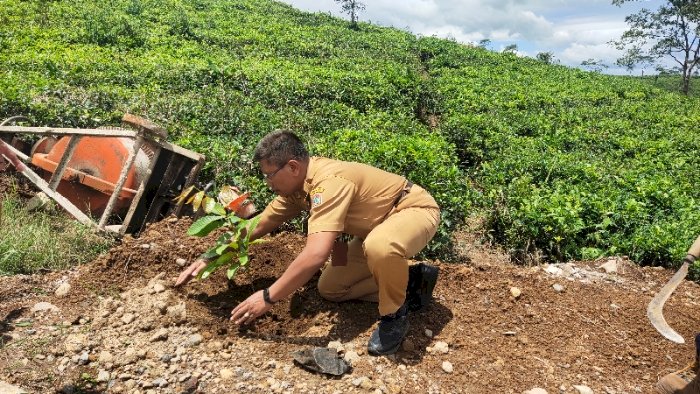Penanaman Pohon Secara Simbolis Di Area Kebun Teh Kemuning, Senin (18/03). Dian Tanti Burhani/RMOLJateng