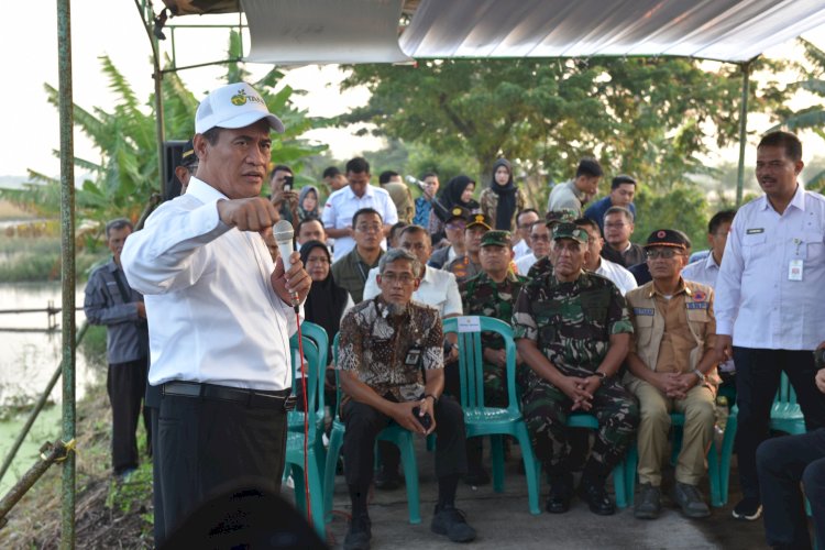 Menteri Pertanian Andi Amran Sulaiman meninjau areal pertanian yang terdampak banjir di Desa Rurunrejo, Kecamatan Brangsong, Kabupaten Kendal, Jumat (22/3). Pemprov Jateng