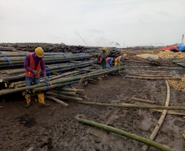 Bambu - bambu yang digunakan untuk penggarapan proyel jalan tol Semarang - Demak. Nungki/RMOLJateng