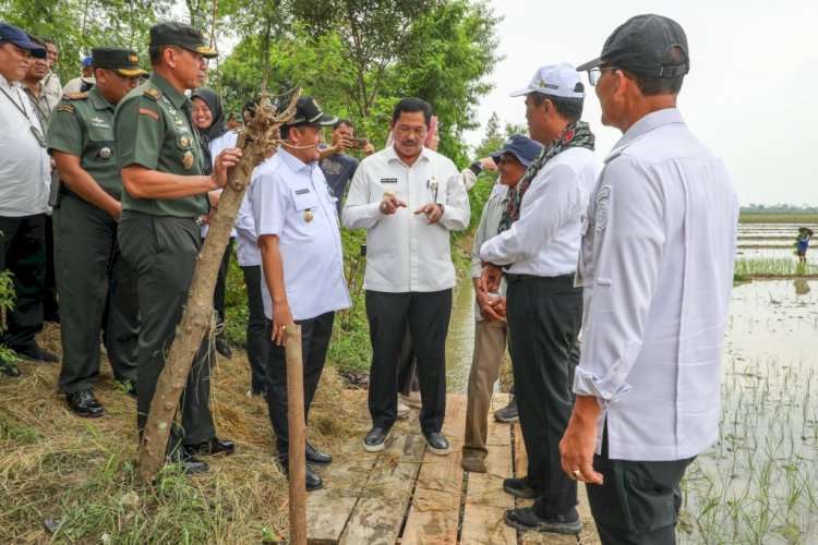 Menteri Pertanian Lakukan Tinjauan Irigasi Di Desa Kandang, Pemalang, Selasa (23/04). Namun, Saat Menemui Para Petani Rombongan Itu Terkejut Mendengar Keluhan Tentang Pupuk Bersubsidi Sulit Dan Tidak Ada Barangnya. Dicky A Wijaya/RMOLJawaTengah 