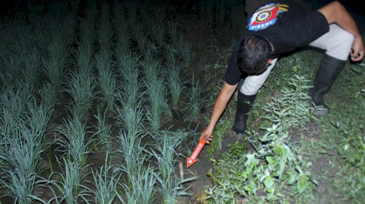 Tim Inafis Polres Grobogan Saat Melakukan Pemeriksaan Tempat Kejadian Perkara, Jum’at (26/4)) Malam. Rubadi/RMOLJawa Tengah
