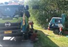Truk Bermuatan Keramik Terperosok Hutan Monggot, Grobogan 