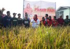 Wali Kota Semarang Dorong Kaum Milenial Jadi Petani
