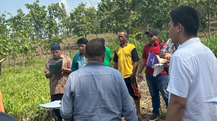 Obyek sengketa lahan di Sarip Karangasem yang saat ini menjadi milik Pemdes Karangasem. Dokumen. Rubadi/ RMOLJateng.