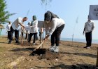 Upaya Konservasi di Pantai Kuripan, Kantah Batang Tanam 100 Cemara Laut