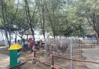 Safari Beach Batang Siapkan Gajah Sumatra Sambut Libur Lebaran