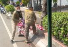 Langgar Perda Ketertiban Umum, Pedagang Kembang Pinggir Jalan Pandanaran Ditertibkan Satpol PP Kota Semarang 