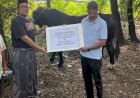 Ini Resep Khusus Peternak Karanganyar yang Sapinya Dibeli Jokowi