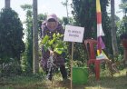 Peringati Hari Lingkungan Hidup Sedunia, Pj Bupati Batang Ajak Warga Tanam Pohon dan Pilah Sampah