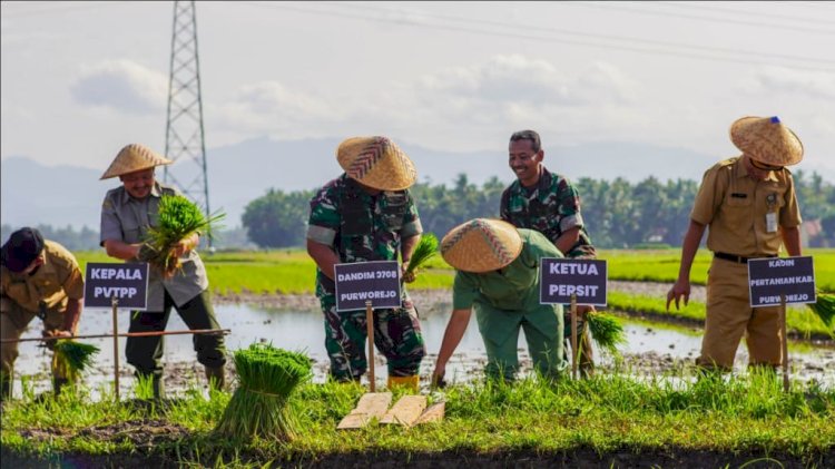 Dandim 0708 Purworejo Letkol Inf Yohanes Heru Wibowo melakukan penanaman padi di Desa Sruwohrejo, Kecamatan Butuh, Purworejo. Budi Agung/RMOLJateng