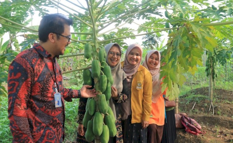 Pakar Pemberdayaan Masyarakat Unsoed, Prof. Dr. Adhi Iman Sulaiman (Kiri) Sedang Mengamati Tanaman Yang Ditanam Ibu-Ibu KWT Aglonema Desa Rabak  Kecamatan Kalimanah, Purbalingga. Istimewa/RMOLJawaTengah