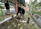 Pimpinan Ziarah ke KH. Asmorosufi, Wabup Wonosobo : Semangat dan Kiprahnya Harus Diteladani