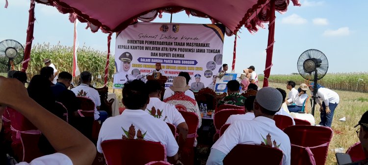 Bupati Demak dalam acara acara panen raya sorgum. Nungki/RMOLJateng