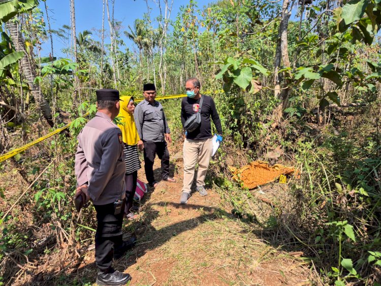 Lokasi pertama di temukannya jasad Supriedi (66) warga Dsn. Gambir Ds. Semowo Kec. Pabelan di area perkebunan di Dsn. Tunggakrejo Ds. Semowo Kec. Pabelan, Selasa (20/8). Erna Yunus B/RMOLJateng
