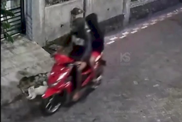 Dua pelaku curi kucing di depan salah satu kos-kosan di Kalicari, Semarang, aksinya terekam CCTV (tangkapan layar media sosial)