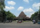 Jane (Pilkada Solo) Menarik, Tapi Kurang Greget!