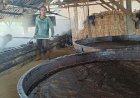 Petani Tebu Di Rembang Merasakan Manisnya Gula