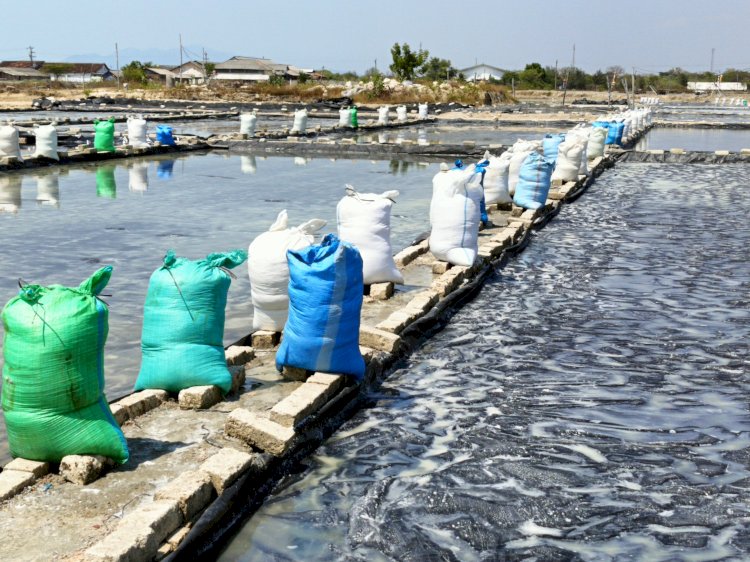 Hamparan Tambak Garam Curah Di Desa Purworejo, Kecamatan Kaliori, Rembang, Selasa (24/09). Yon Daryono/RMOLJawaTengah