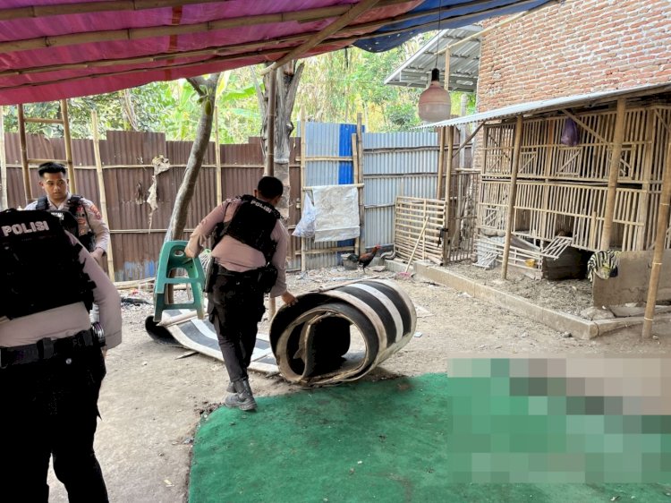 Kepolisian Resor Tegal (Polres Tegal) Memberantas Perjudian, Khususnya Sabung Ayam, Demi Mewujudkan Upaya Penegakkan Hukum Dan Menciptakan Keamanan. Istimewa/RMOLJawaTengah