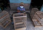 Punya Kualitas, Sangkar Burung Kebonbatur 'Kuasai' Pasar Nusantara