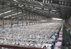 Industri Baru Demak Muncul Dimana-mana
