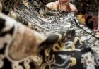 Potensi Lokal Kabupaten Demak Bisa Dikembangkan