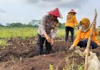 Manfaatkan Lahan Kosong, Bhabinkamtibmas Gandeng Kelompok Wanita Tani Desa Tanam Cabai