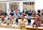 Ironis: Pemerintah Menggemakan Makan Bergizi Gratis, Peternak Susu Malah Menangis
