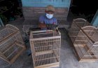 Desa Kebonbatur Sentra Pembuatan Sangkar Burung Demak