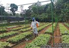 Nilai Jual Lebih Dari Rp143 Miliar Dalam Dua Tahun Terakhir