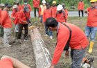 Tahun 2025, KPH Kebonharjo Akan Menebang 105.602 Pohon Jati