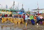 Dikeluhkan Nelayan: Harga Ikan Jenis Demang Dan Abangan Turun Drastis