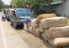 Di Musim Akhir Panen, Harga Tembakau Di Rembang Terjun Bebas