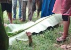 Geger, Warga Girigondo Ditemukan Tewas Tenggelam di Kali Kedunggupit