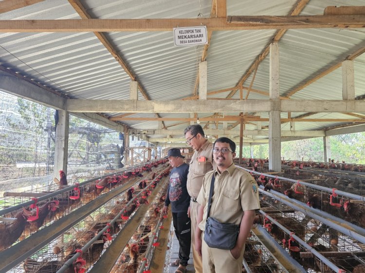 Tim Monev Dari Bidang Peternakan Dinas Tanaman Pangan Kabupaten Rembang Saat Melakukan Monev Di Kandang Ayam Milik Supadi Di Banowan Tahun 2022 Lalu. Bidang Peternakan, Dintanpan Rembang.