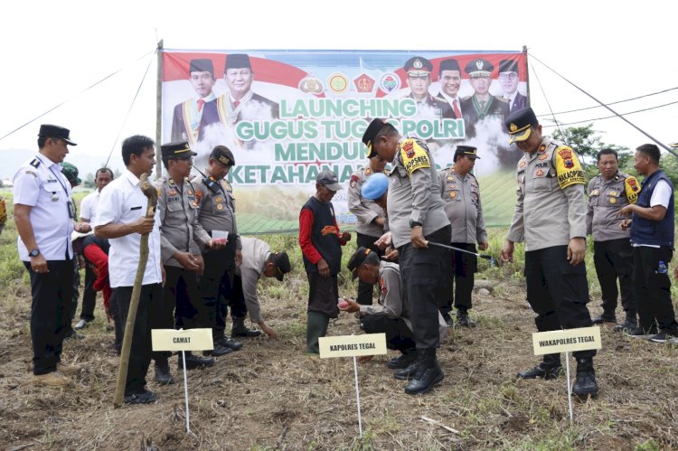 Polres Tegal Menggelar Peluncuran Gugus Tugas Polri Dengan Kegiatan Penanaman Jagung Di Kecamatan Lebaksiu, Rabu (20/11) Pagi. Istimewa