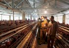 Warga Miskin di Banjarnegara Dapat Bantuan Telur