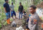 Tengkorak Kepala dan Tulang Paha di Hutan Sukun Masih Misteri