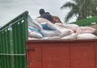 Serapan Pupuk Bersubsidi Di Rembang Telah Mencapai 80%
