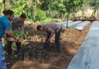 Polsek Kutasari Olah Lahan Kosong Untuk Dukung Ketahanan Pangan