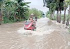 BPBD Pati: 9 Kecamatan Berpotensi Dilanda Banjir
