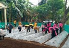 Pemanfaatan Tanah Kosong Dan Penguatan Swasembada Pangan