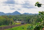 Prestasi KAI: Modernisasi Infrastruktur Dan Penghematan Waktu Perjalanan Ribuan Jam Per Hari