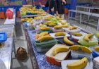 Wonogiri Menunggu Juknis Program Makan Bergizi Gratis
